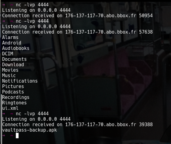 ls /sdcard output